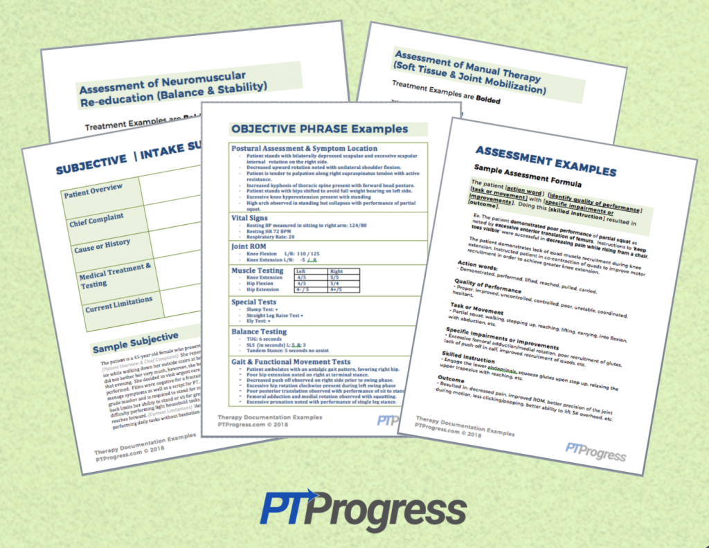 Therapy Documentation Example Templates To Save Time