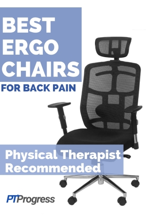 Physiotherapist's Network - Office Chair: How to Reduce Back Pain? Sitting  in an office chair for prolonged periods of time can definitely cause low  back pain or worsen an existing back or