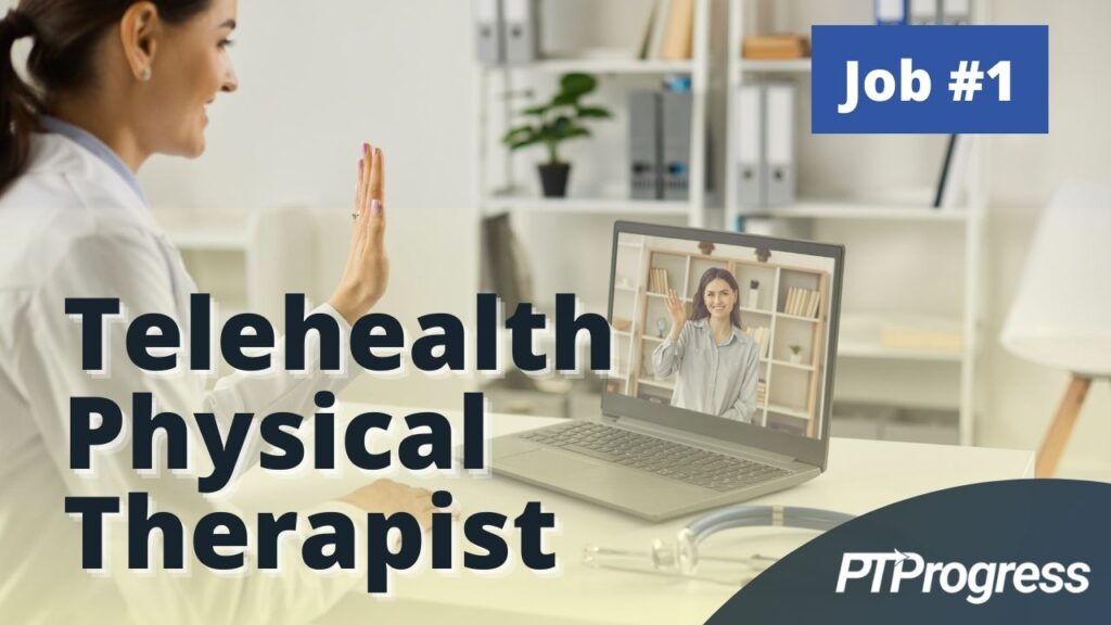 remote physical therapy jobs 