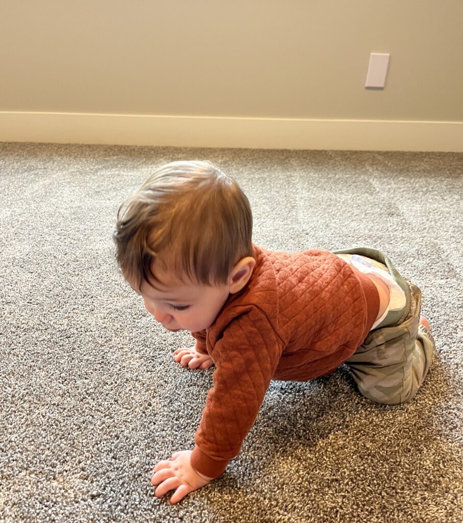 8-month-old developmental milestones 