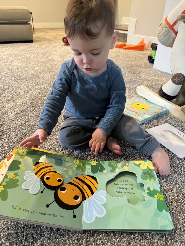 developmental milestones 9-month-old pincer grasp 